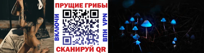 Галлюциногенные грибы мицелий  где купить   Буинск 